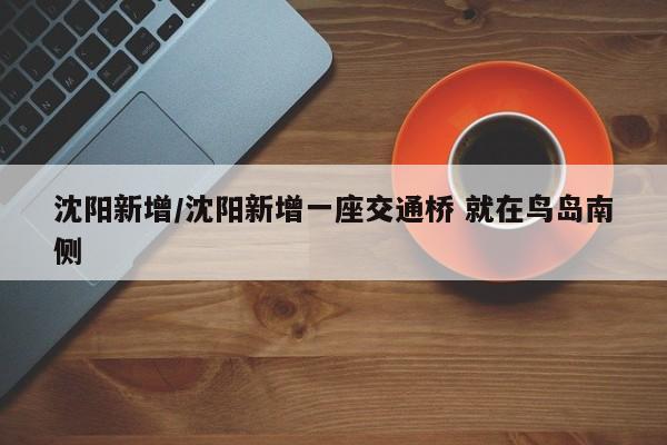 沈阳新增/沈阳新增一座交通桥 就在鸟岛南侧