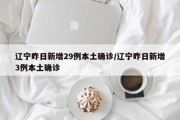 辽宁昨日新增29例本土确诊/辽宁昨日新增3例本土确诊
