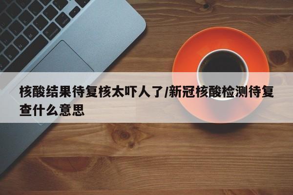 核酸结果待复核太吓人了/新冠核酸检测待复查什么意思