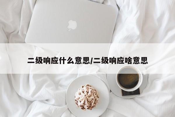 二级响应什么意思/二级响应啥意思