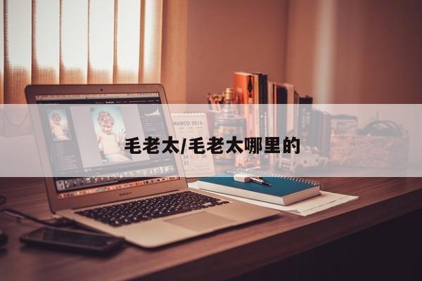 毛老太/毛老太哪里的